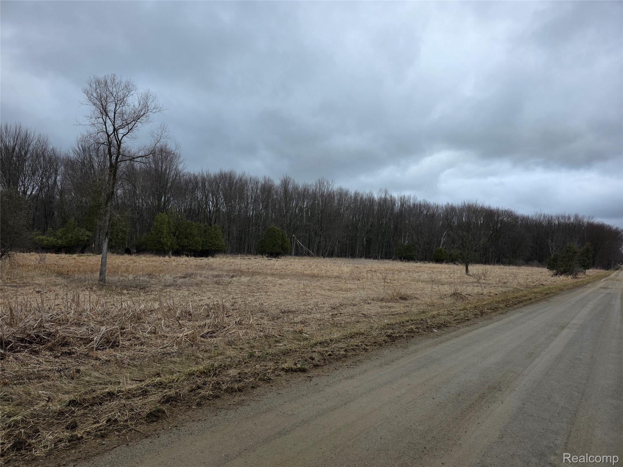 0 Martus Road North Branch, MI 48461 - Photo 9 of 19 Open Front Area