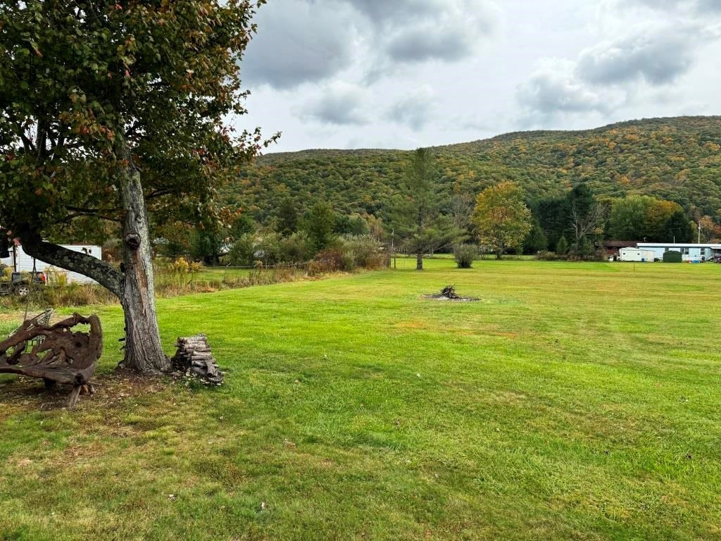 5700 Grapefield Road Bastian, VA 24314 - Photo 24 of 34 Gallery Image 24