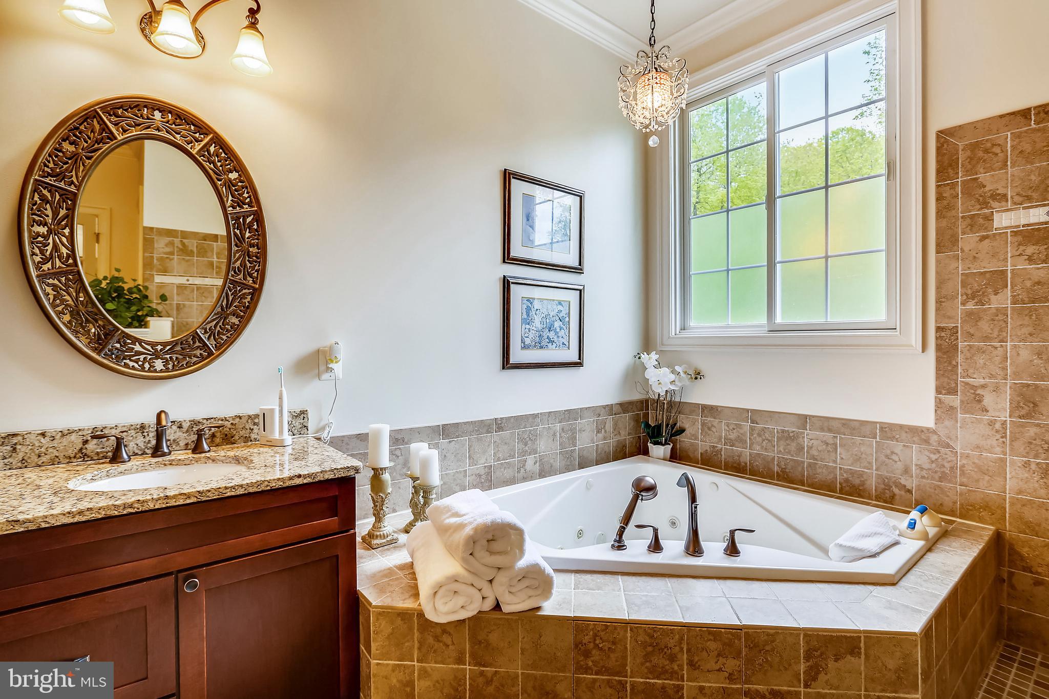 1612 Rushing Stream Court Forest Hill, MD 21050 - Photo 41 of 89 Master Bath