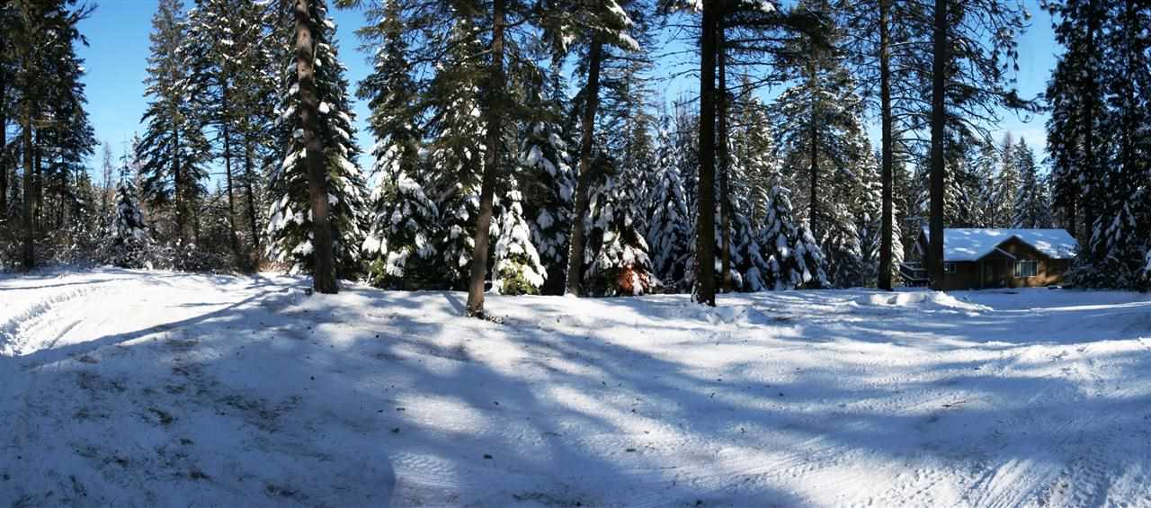 25713 North Sands Road Chattaroy, WA 99003 - Photo 19 of 20