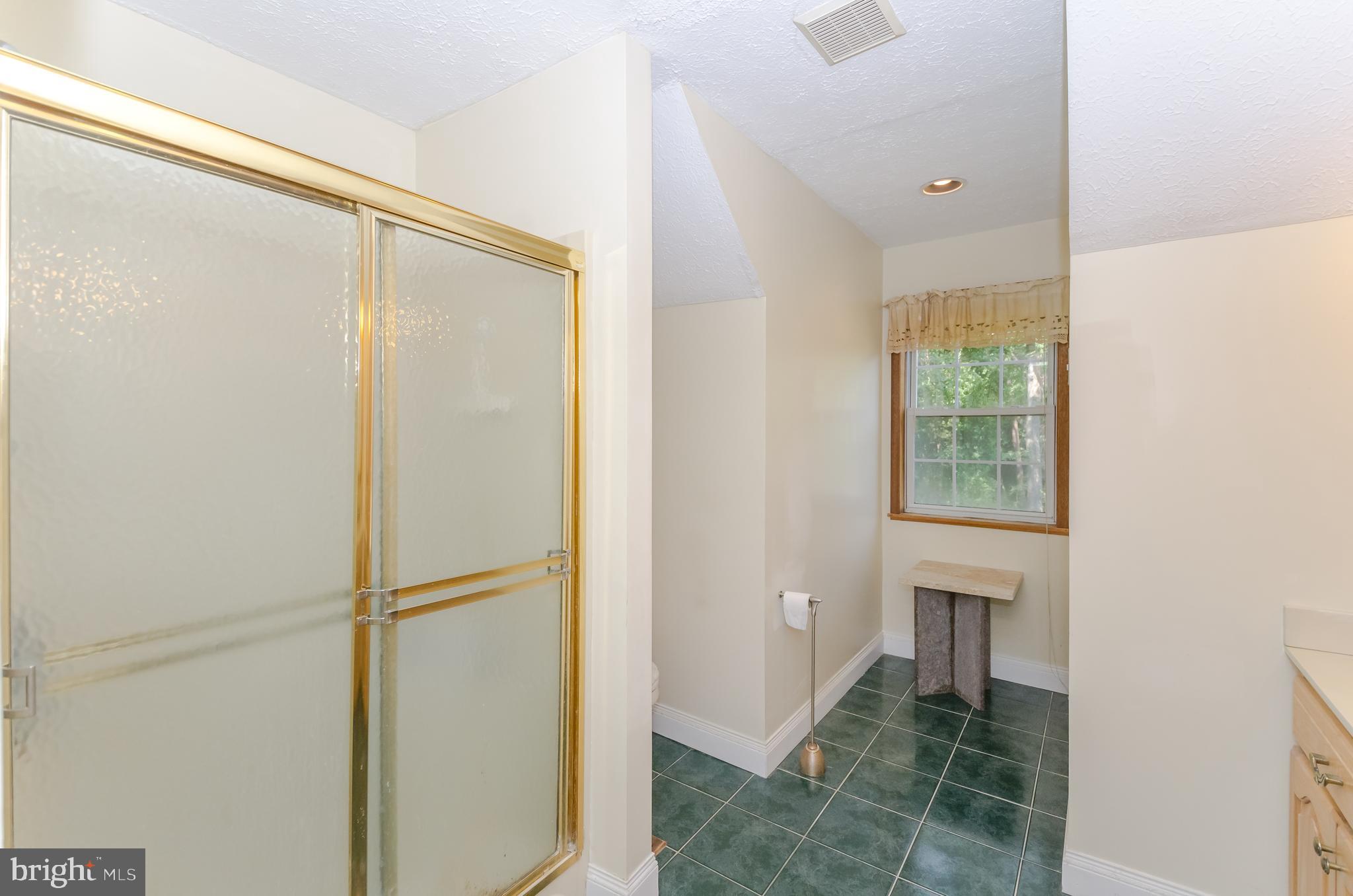 869 Swift Road Pasadena, MD 21122 - Photo 40 of 68 Separate Shower in Primary Bathroom