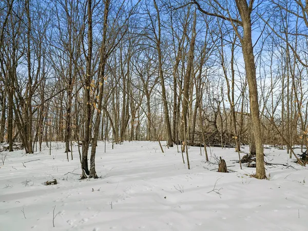 $399,000 | 51132 340th Street, New York Mills, MN 56567