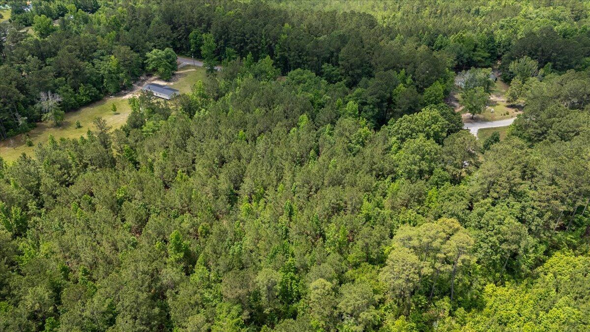 0 Deneaux Road Rowesville, SC 29133 - Photo 28 of 43 28-Deneaux-23