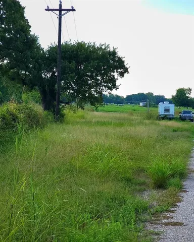 a view of a field with a tree in the background