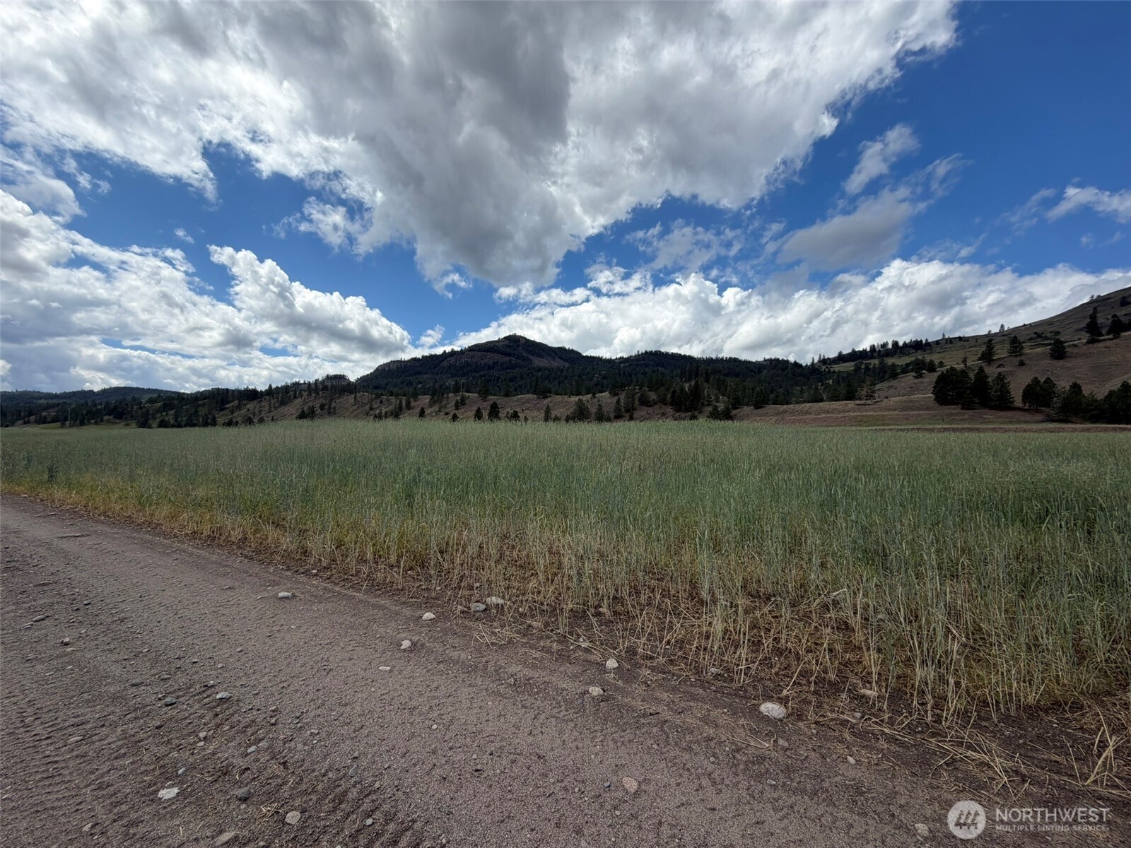 1 Lundimow Meadows Road Malo, WA 99150 - Photo 11 of 17 Gallery Image 11
