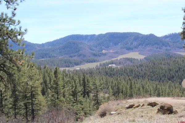 a view of a dry back yard
