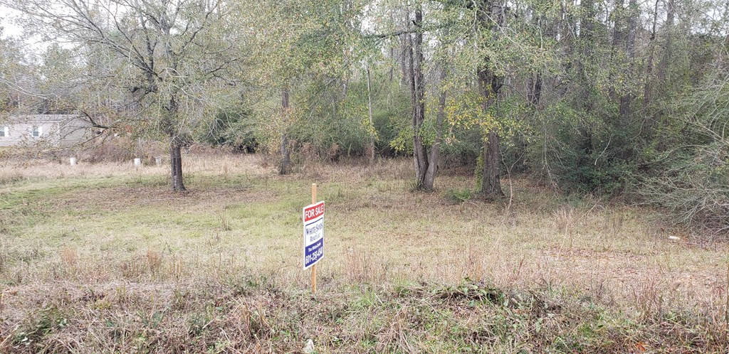 3087 Irene Road Summit, MS 39666 - Photo 2 of 3 Photo 2