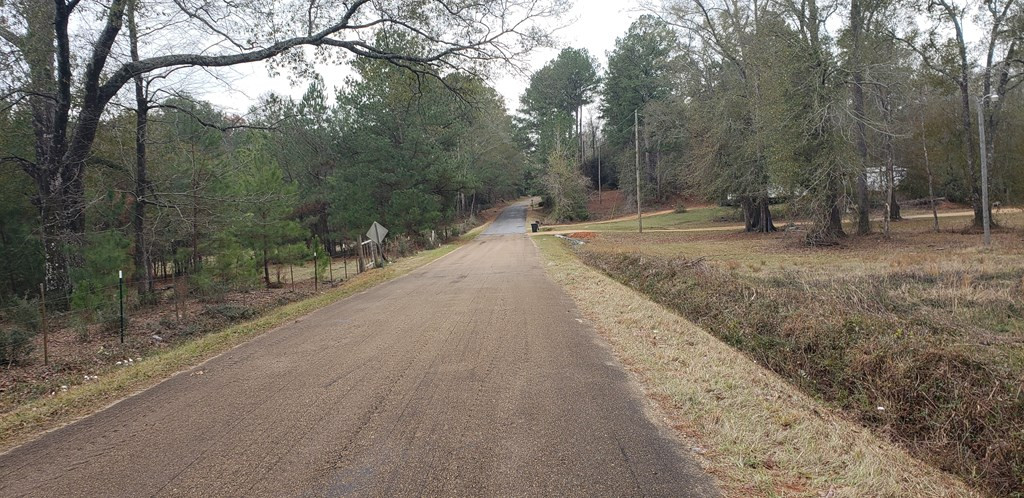 3087 Irene Road Summit, MS 39666 - Photo 3 of 3 Photo 3