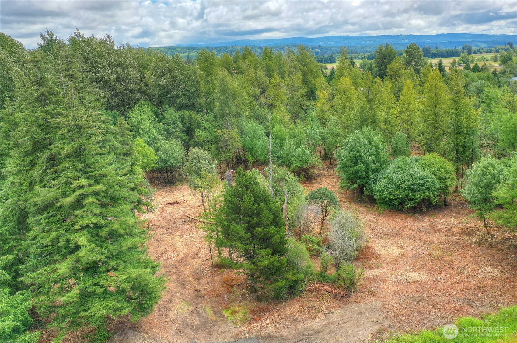 0 Old Wenzel Slough Road Elma, WA 98541 - Photo 7 of 8 Gallery Image 7