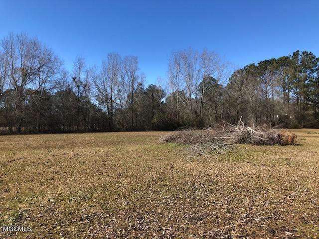 14527 South Mills Road Gulfport, MS 39503 - Photo 11 of 17 IMG_5373