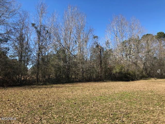 14527 South Mills Road Gulfport, MS 39503 - Photo 10 of 17 IMG_5371