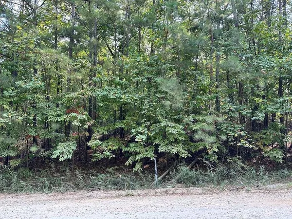 a view of a yard with plants and large trees