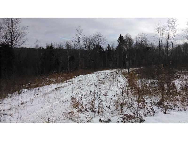 Lot # Prescott Brook Road Springfield, ME 04487 - Photo 6 of 6 Exterior Front.