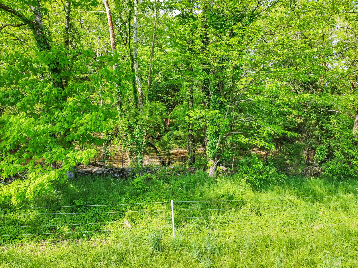 1770 Greenvale Road Watertown, TN 37184 - Photo 36 of 48 Gallery Image 36