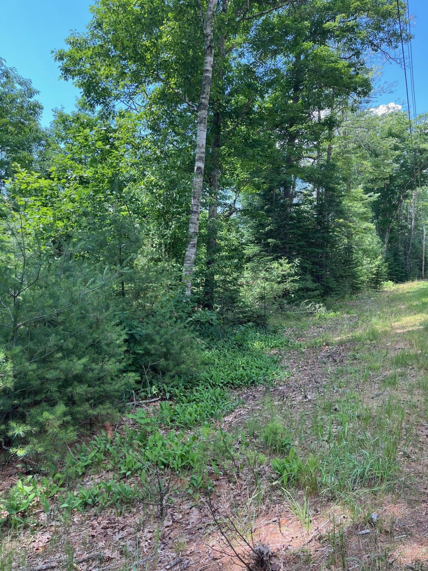 0 Leeds Road Wayne, ME 04284 - Photo 2 of 2 0 Leeds Rd 2