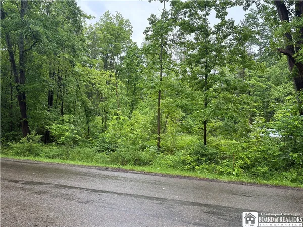 $32,500 | Scott Road, Frewsburg, NY 14738