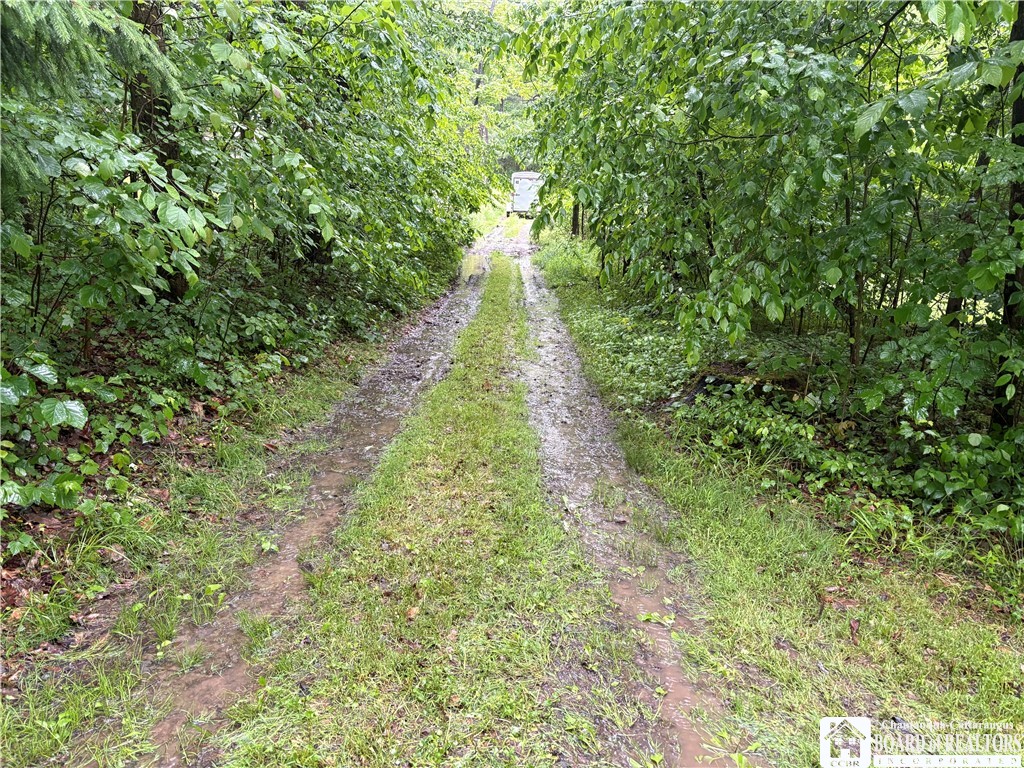 Scott Road Frewsburg, NY 14738 - Photo 12 of 16