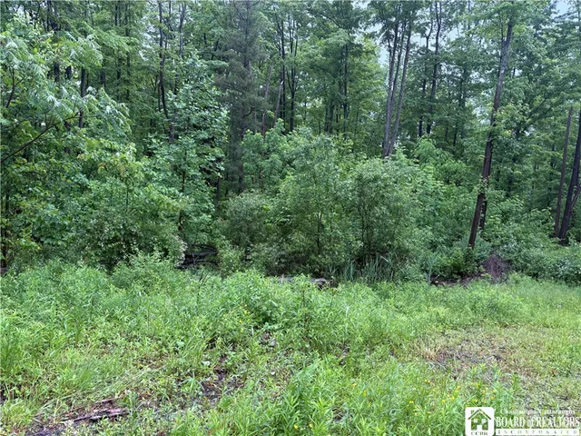 $32,500 | Scott Road, Frewsburg, NY 14738