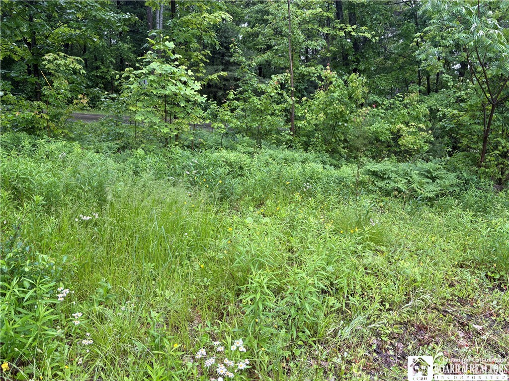 Scott Road Frewsburg, NY 14738 - Photo 16 of 16