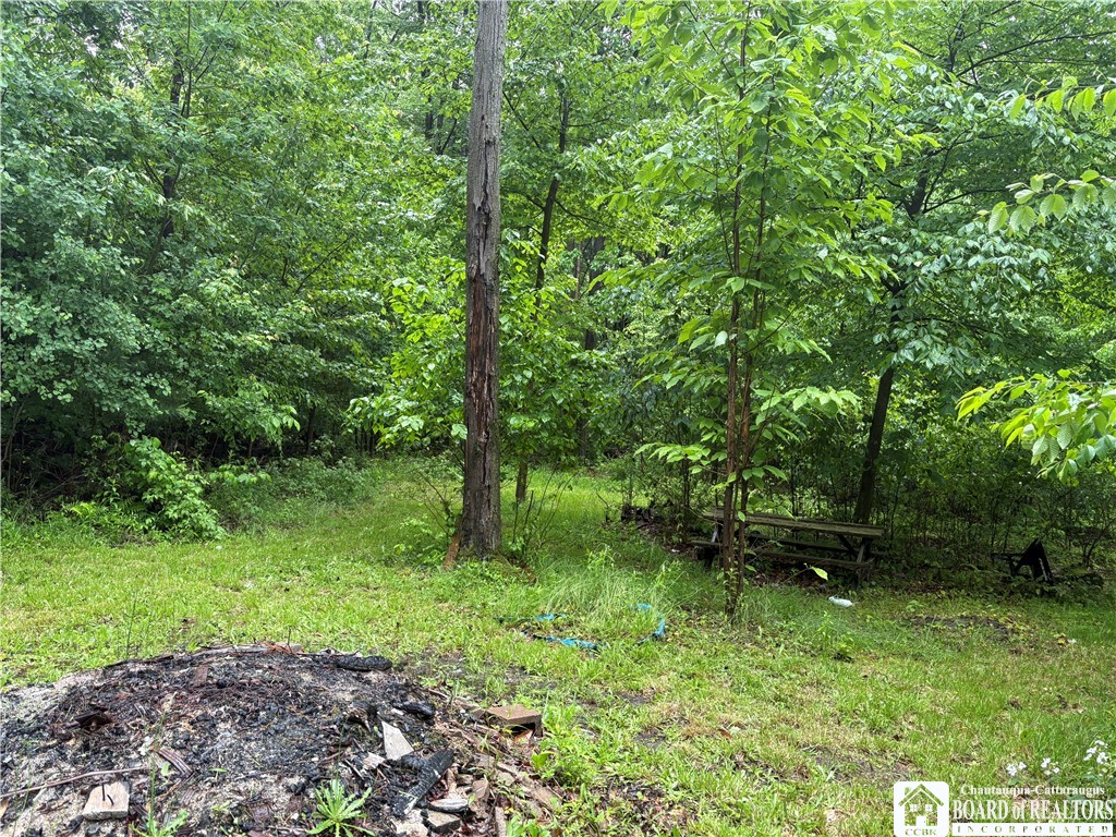 Scott Road Frewsburg, NY 14738 - Photo 4 of 16