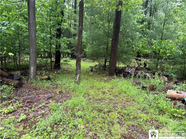 $32,500 | Scott Road, Frewsburg, NY 14738