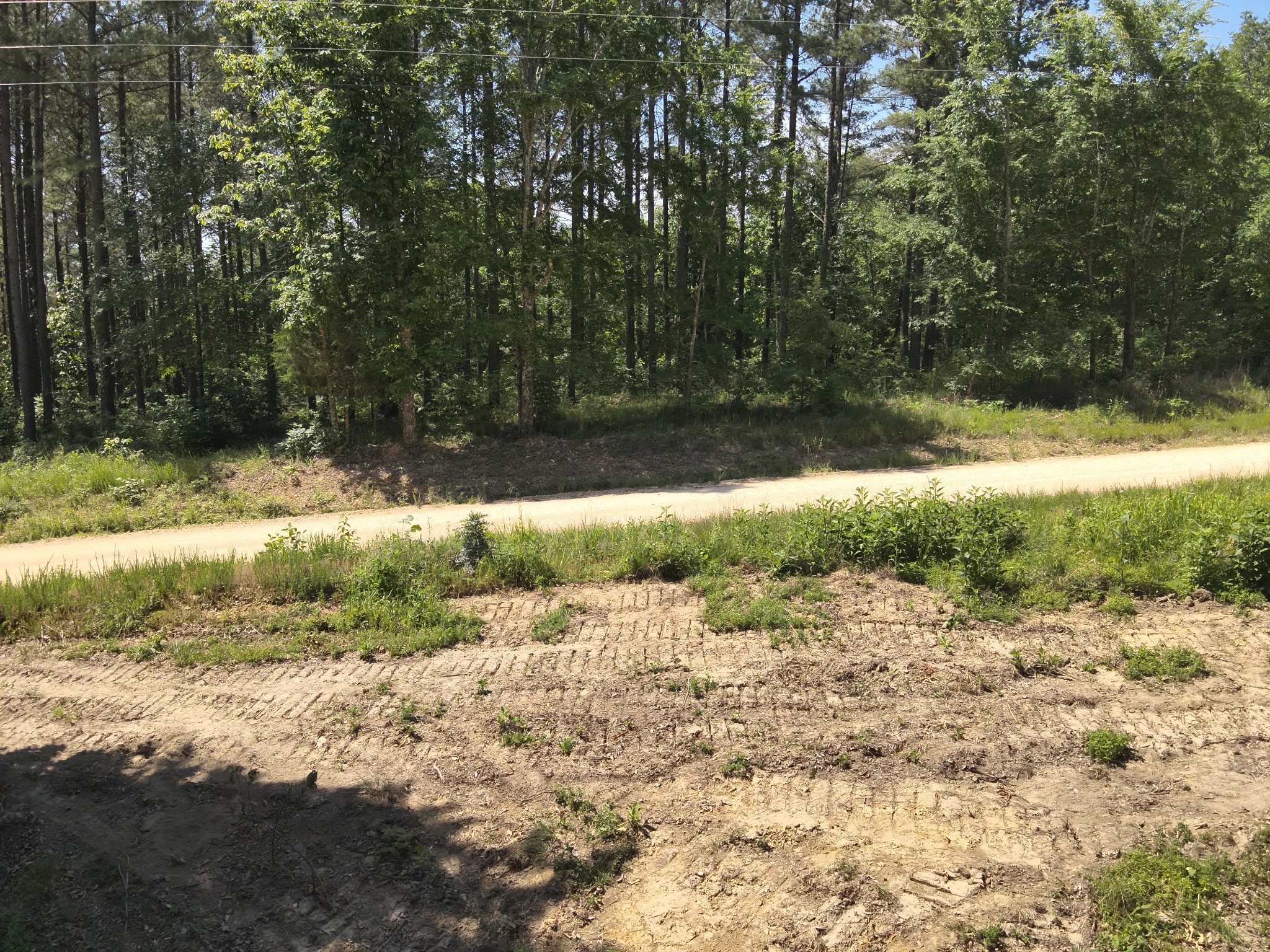 0 Bear Creek Road Waverly, TN 37185 - Photo 11 of 35 a view of a pathway with a yard