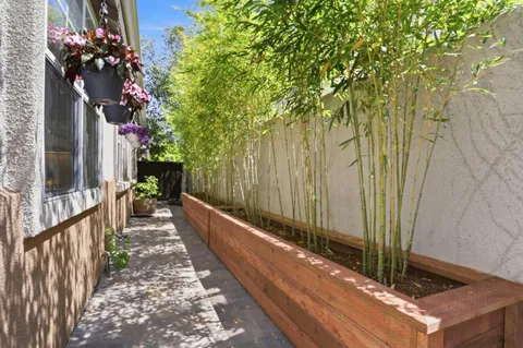 a view of a pathway of a house with a small yard