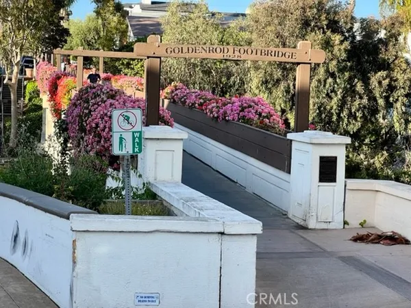 a view of a house with a yard and palm trees