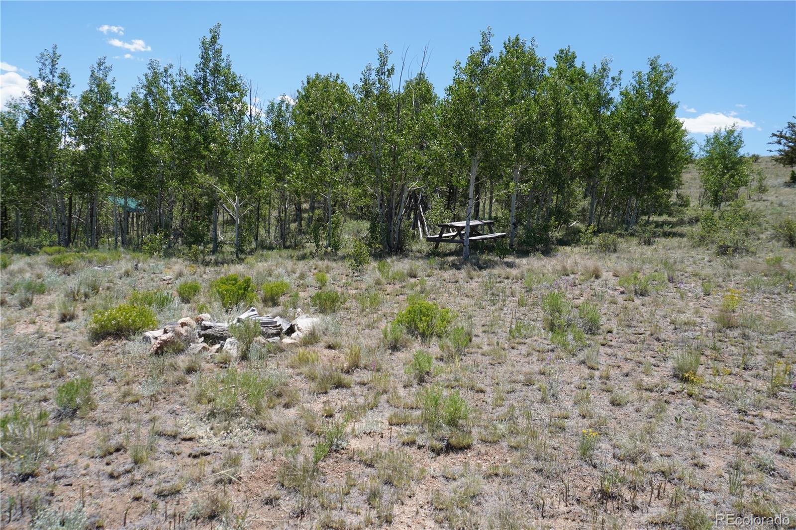 620 Arland Road Como, CO 80432 - Photo 7 of 9