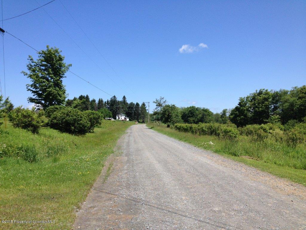 0 Ball Pond Road Thompson, PA 18465 - Photo 8 of 19 street view