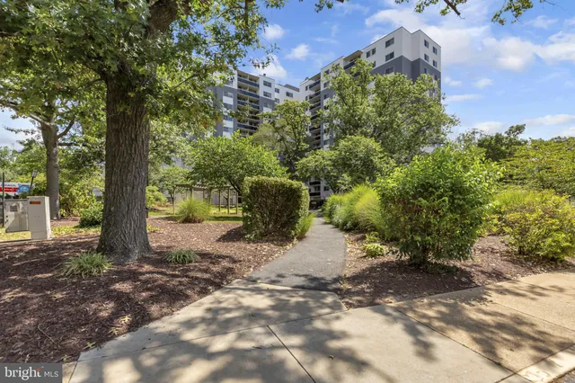 a view of a yard with plants and trees