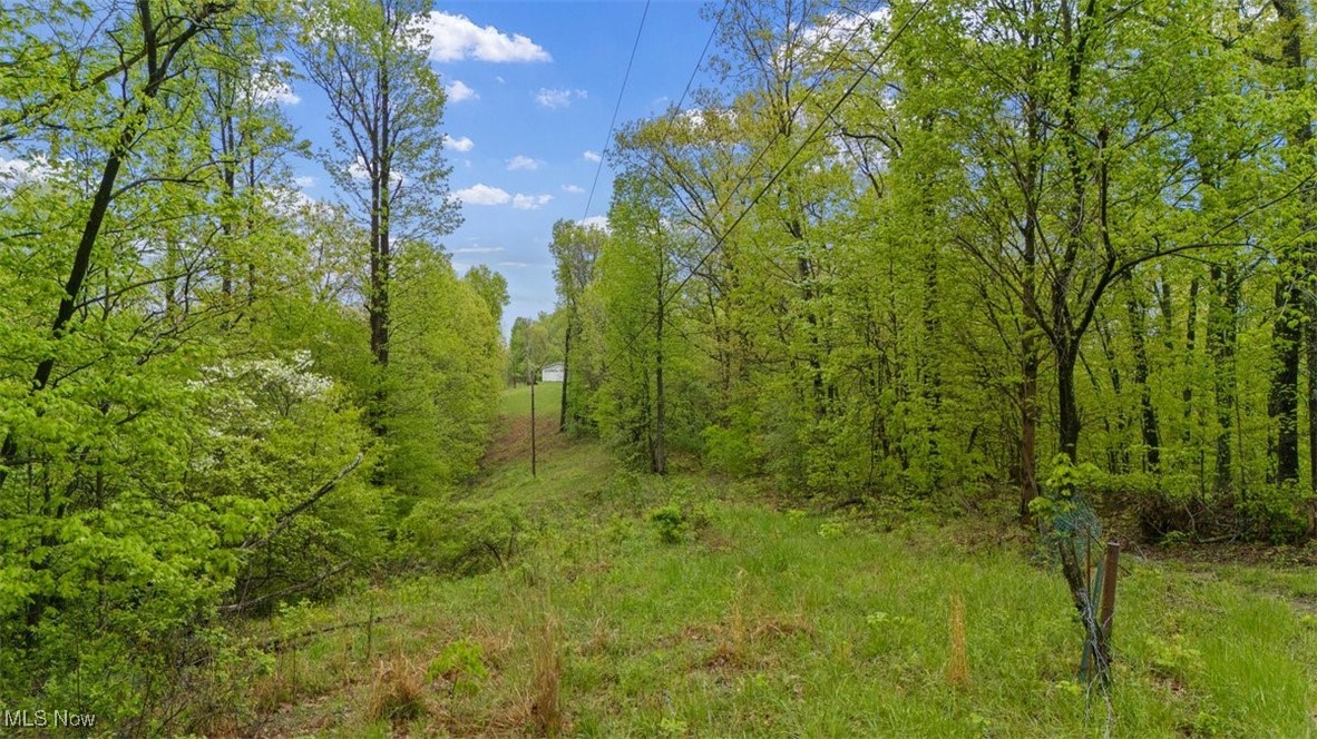 0 Wolfe Run Road Belleville, WV 26133 - Photo 11 of 38 Mineral Rights will convey to the new buyers
