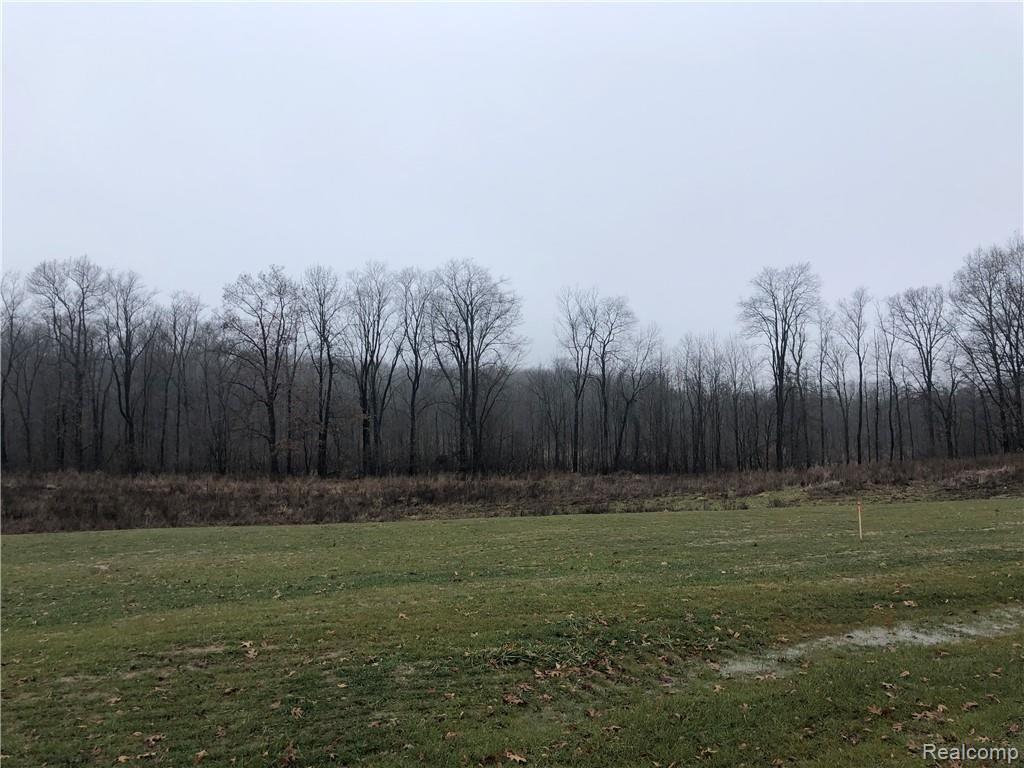 Parcel 9 Elevation Lane Howell, MI 48855 - Photo 2 of 10