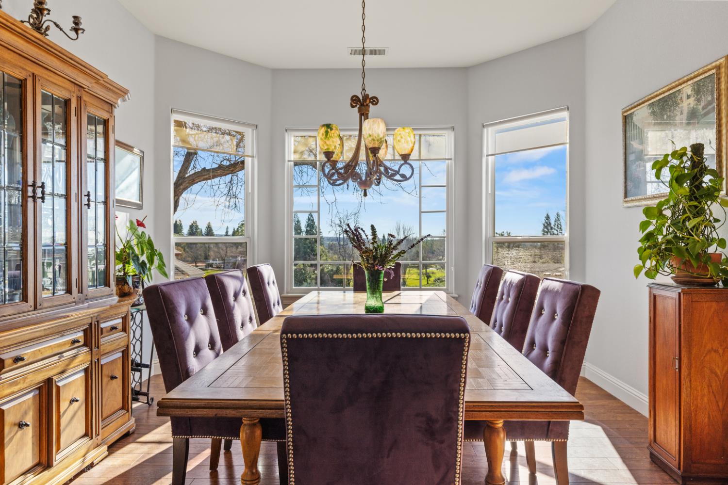 4287 Burnett Road Lincoln, CA 95648 - Photo 4 of 63 Beautiful views out every window.