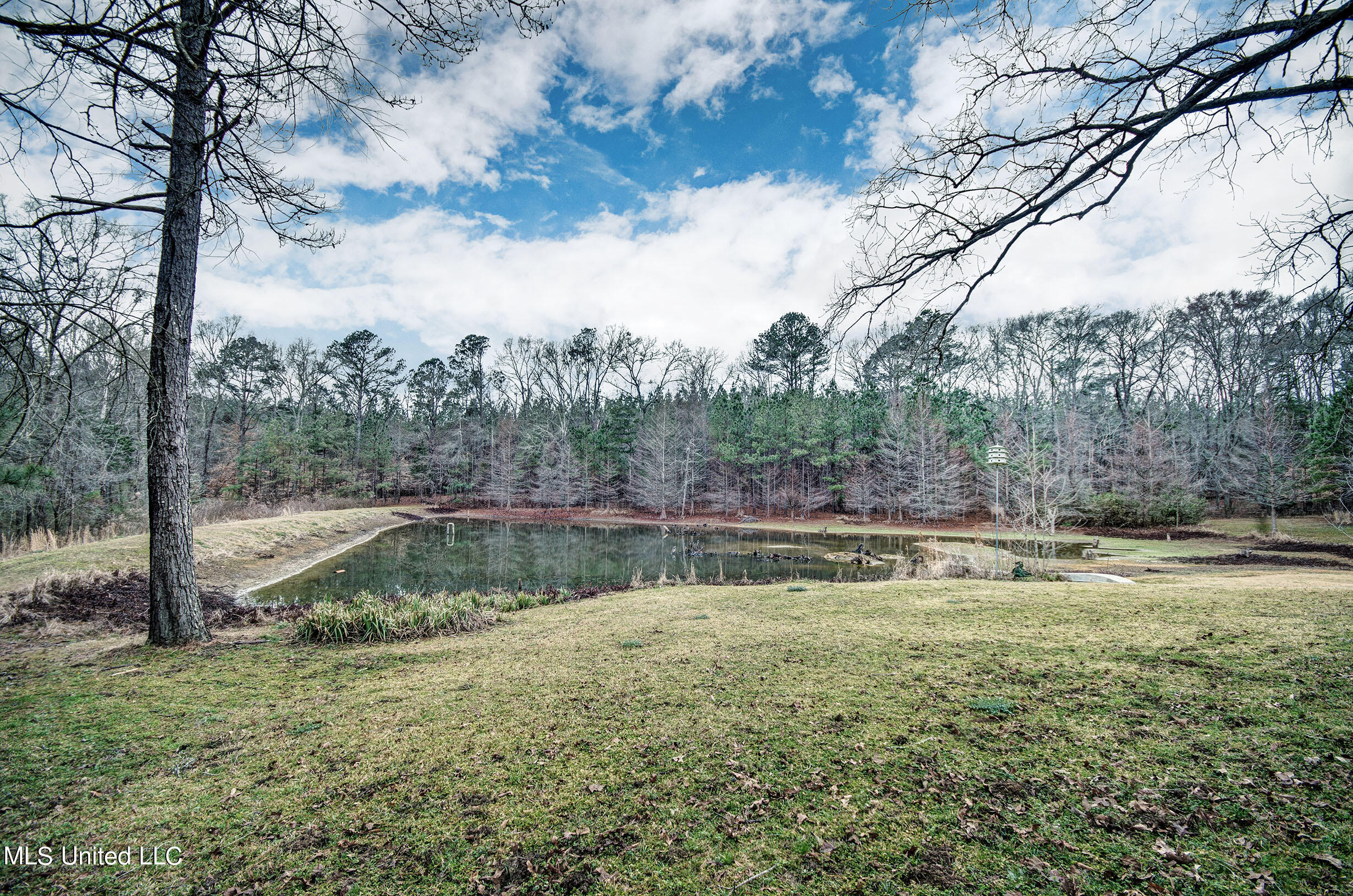 2248 Frank Hall Road Bolton, MS 39041 - Photo 7 of 46 IMGP7424_5_6