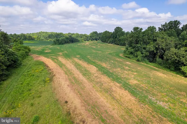 a view of a yard with a fountain
