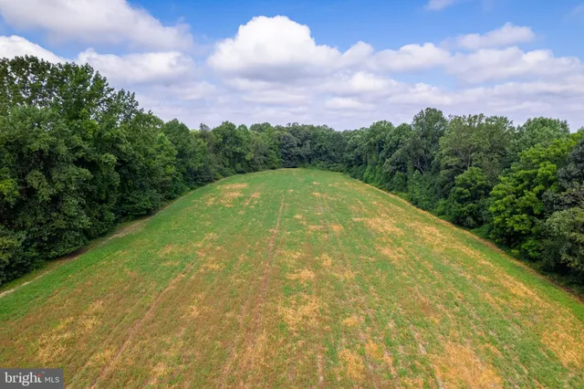 a view of a house with a yard plants and large tree