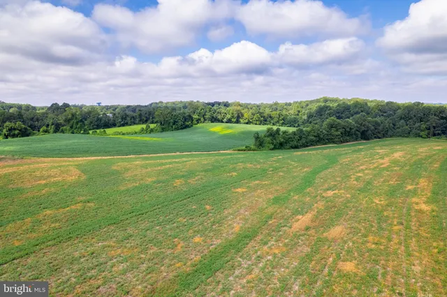 a view of a house with garden and yard