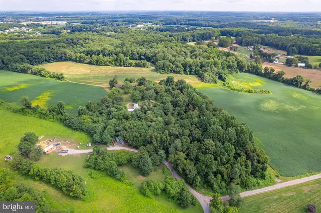 a view of a lush green outdoor space with a lake view