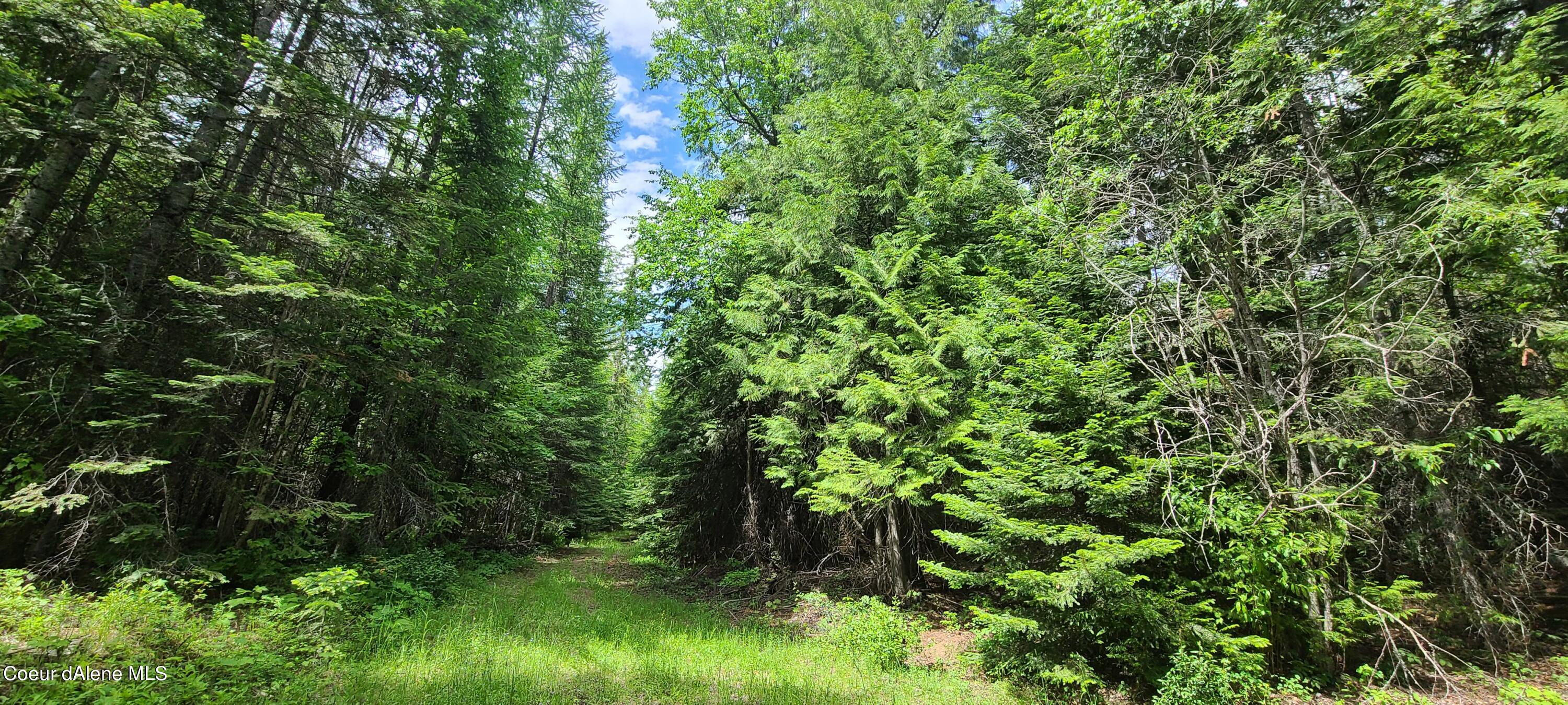 Nna West Gold Creek Ridge Road Sandpoint, ID 83864 - Photo 3 of 14 20210608_143748