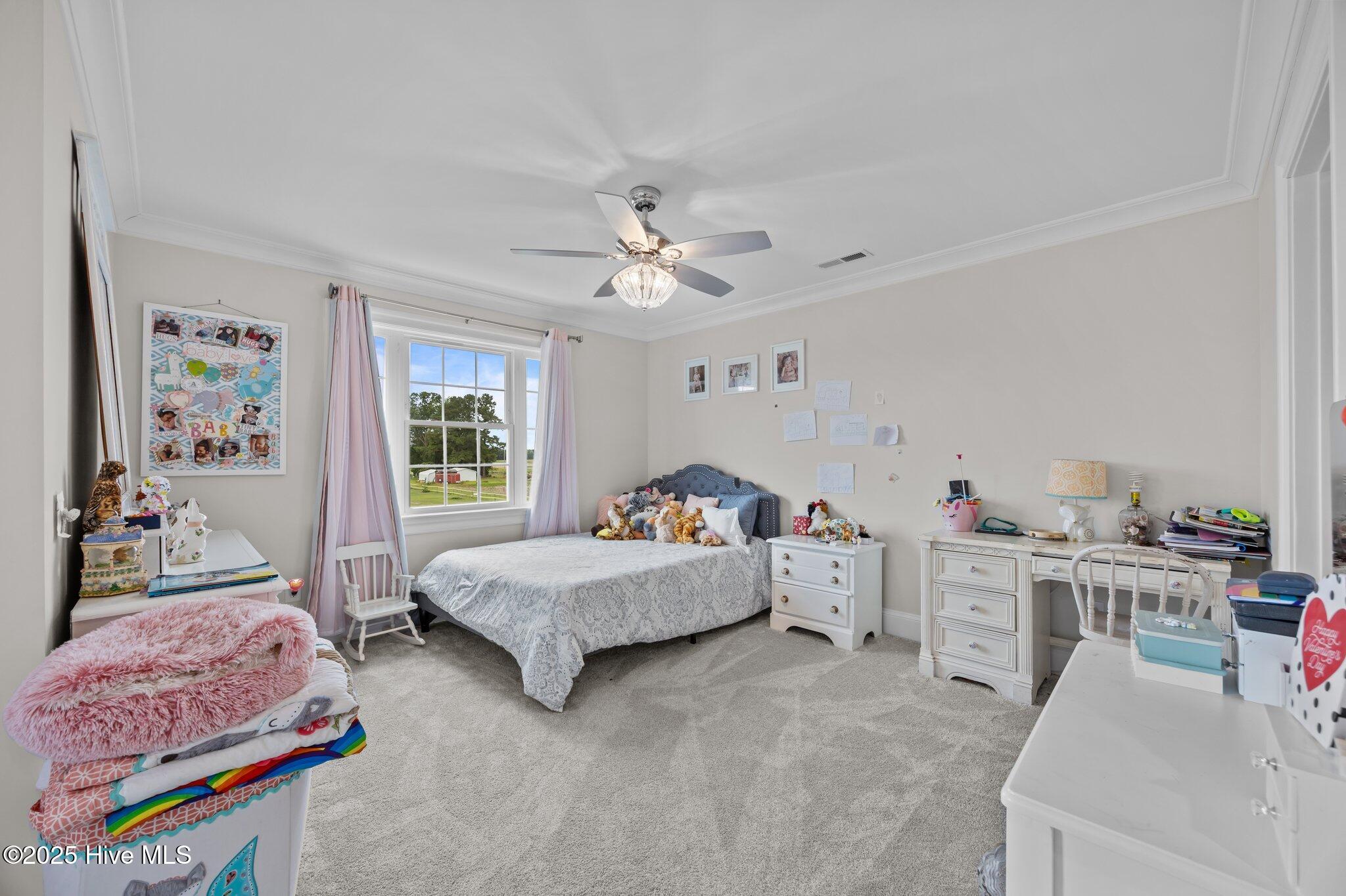 7145 Stokestown Saint John Road Ayden, NC 28513 - Photo 40 of 45 46-web-or-mls-IMG_0881