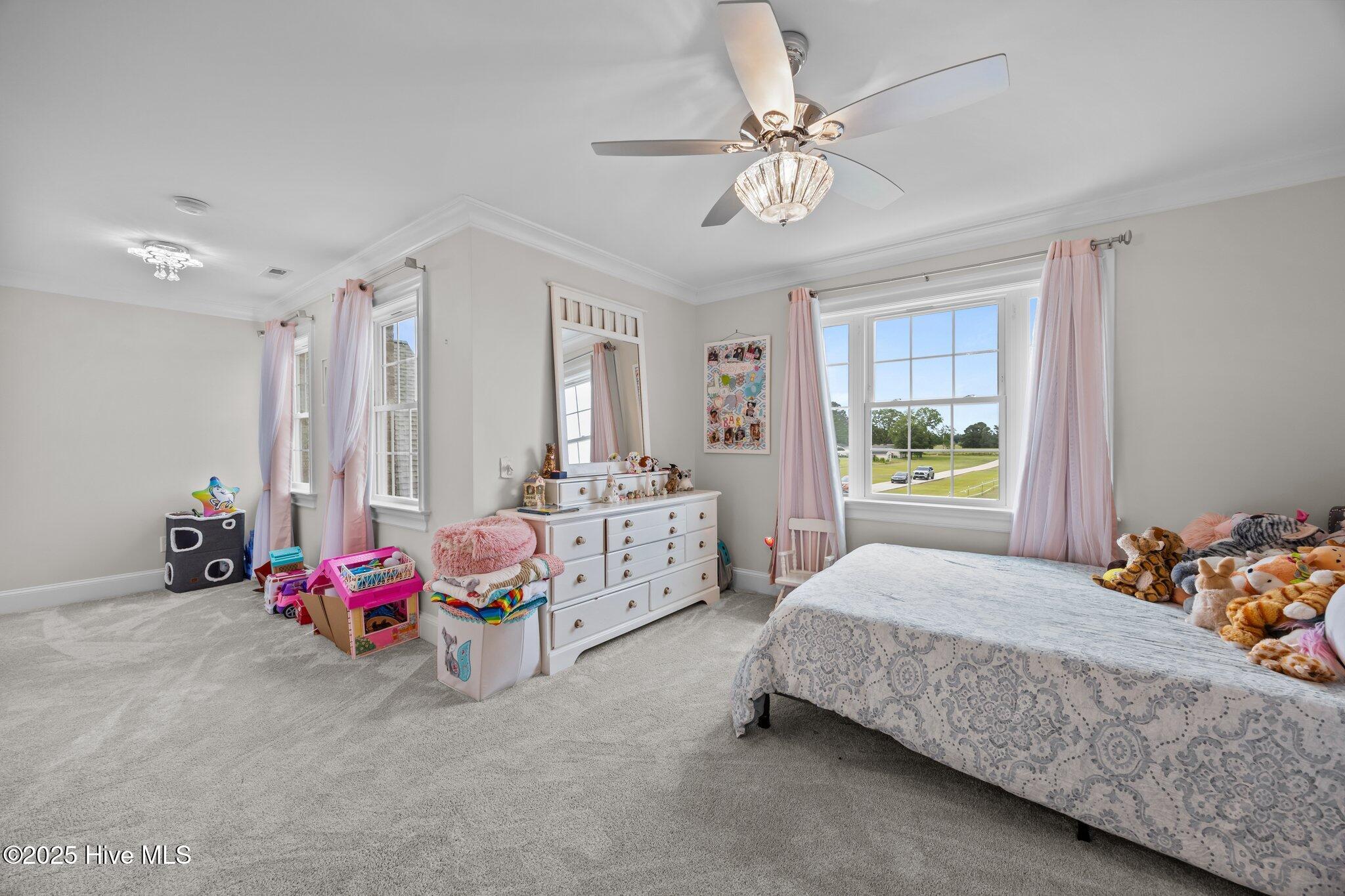 7145 Stokestown Saint John Road Ayden, NC 28513 - Photo 42 of 45 47-web-or-mls-IMG_0884