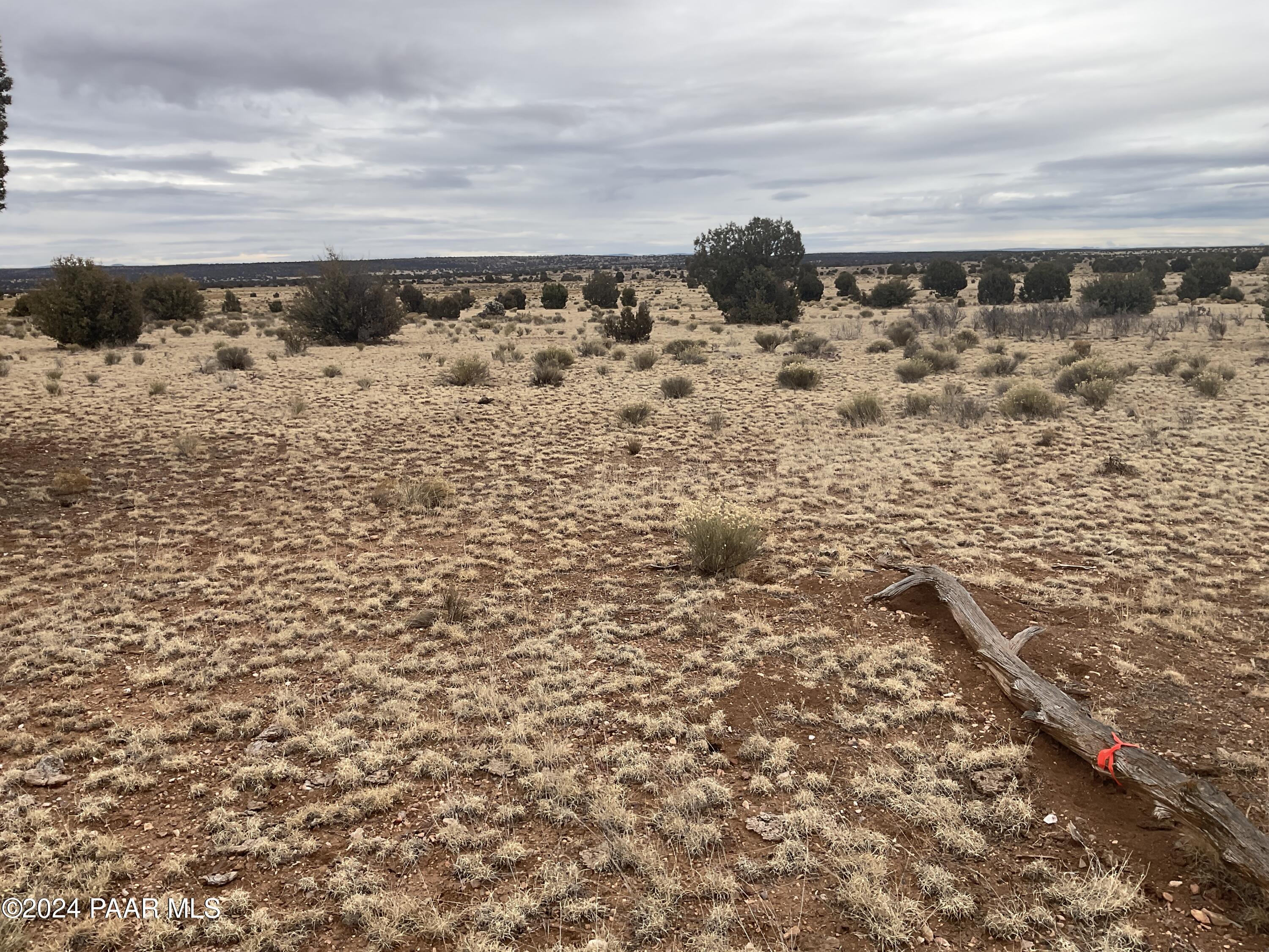 Lot 595 Ravens Rest Seligman, AZ 86337 - Photo 5 of 9