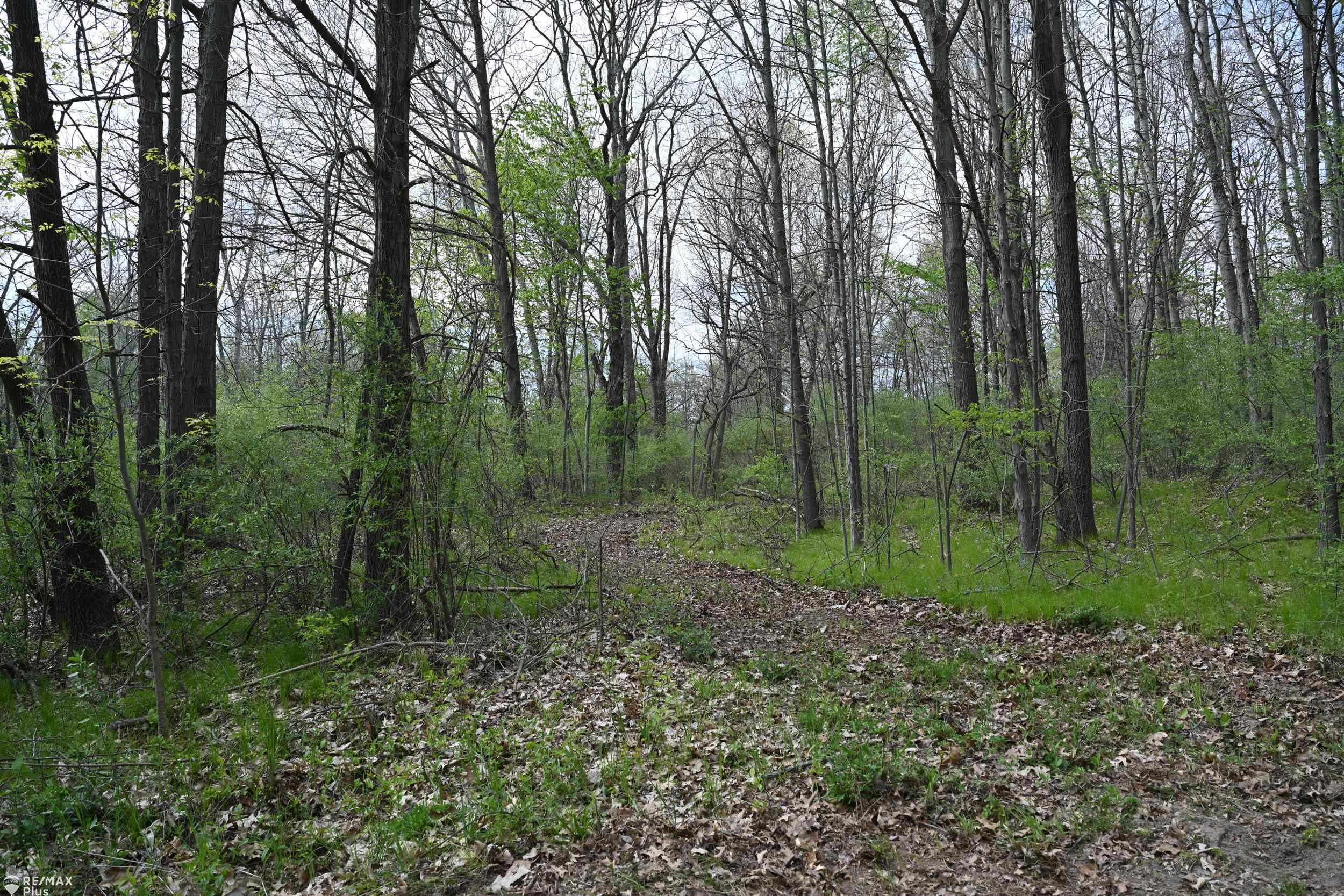 0 Miller Lake Road Columbiaville, MI 48421 - Photo 17 of 33