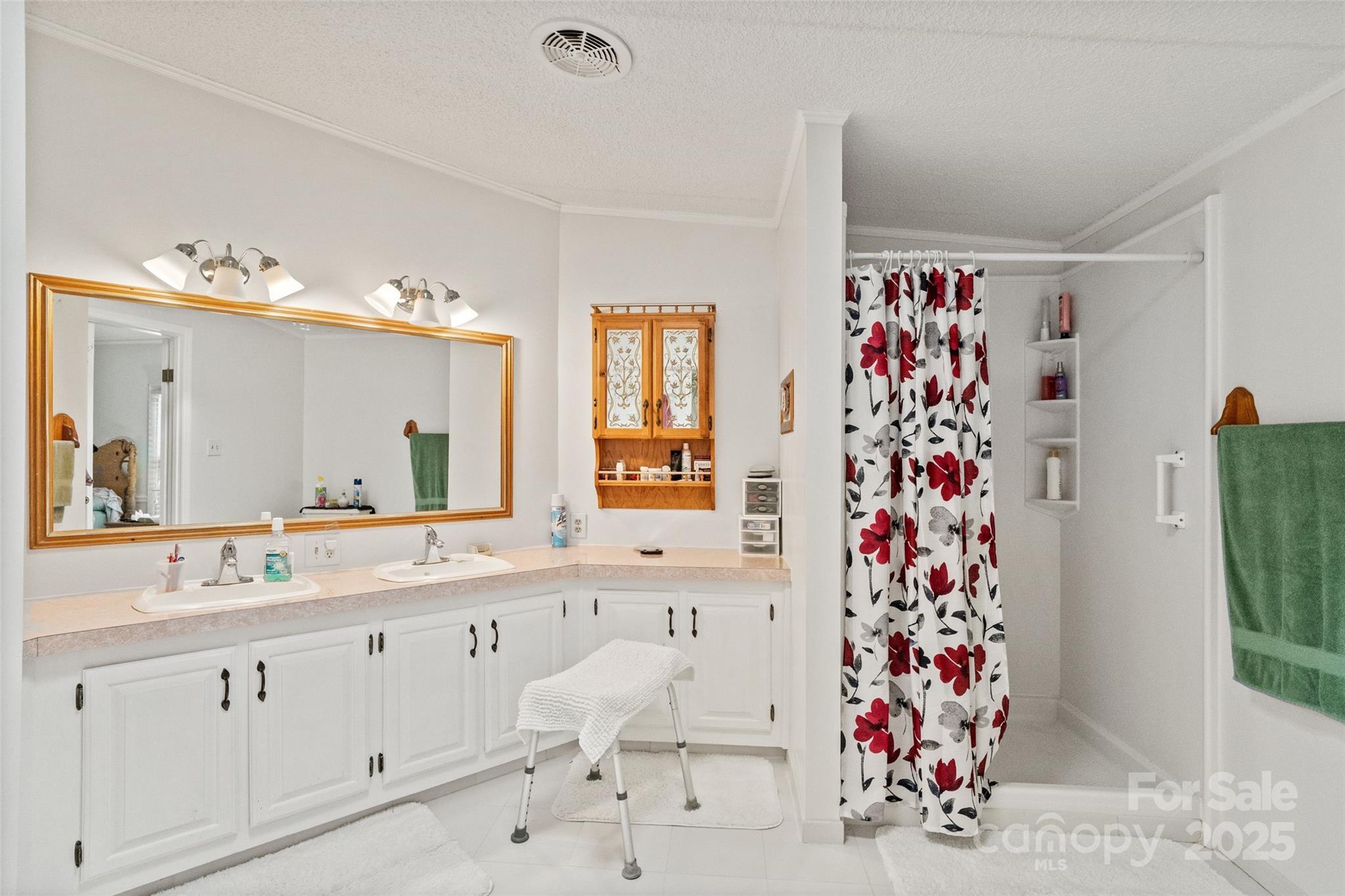 5909 Lake Valley Road Clover, SC 29710 - Photo 30 of 44 a bathroom with a sink and a mirror