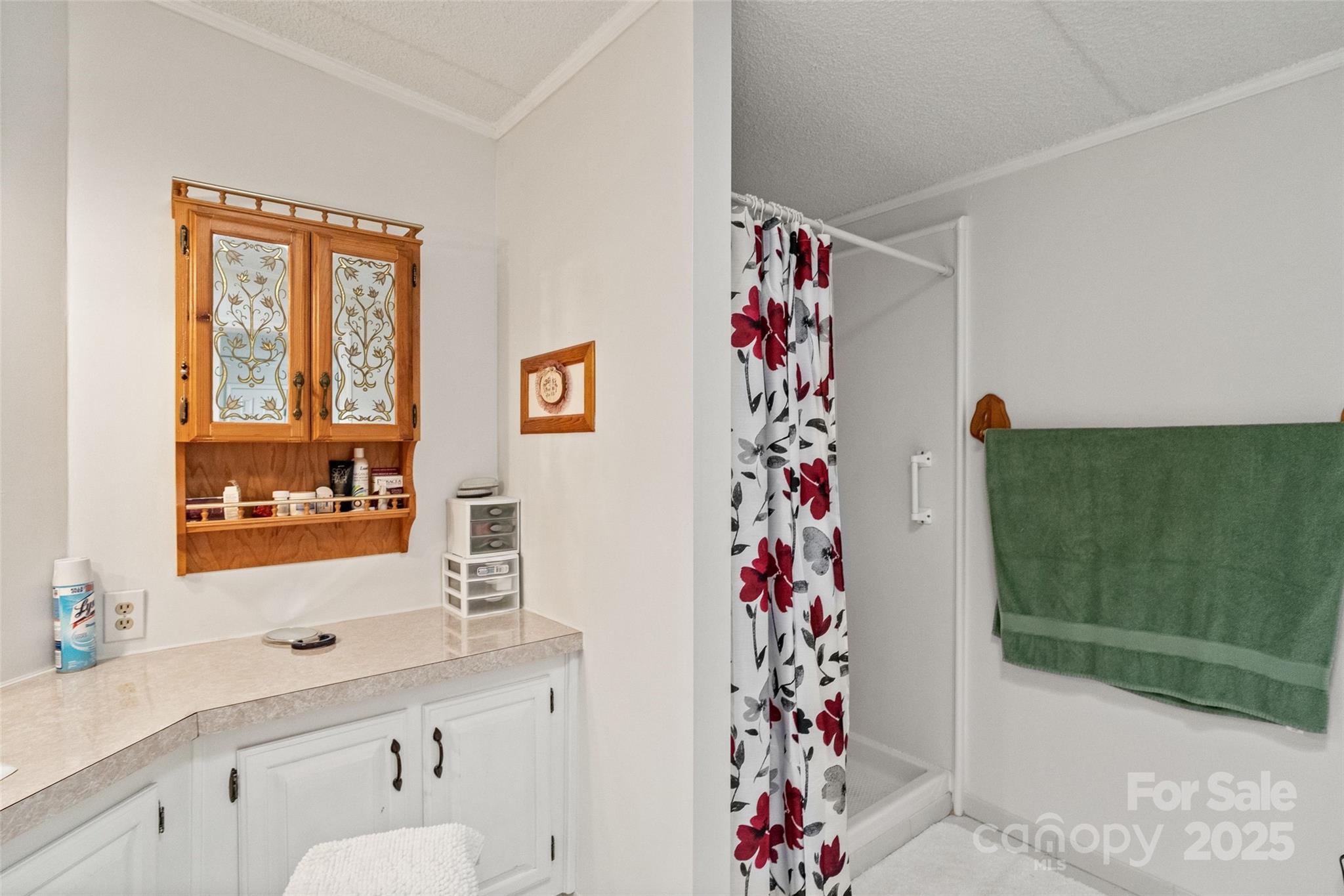 5909 Lake Valley Road Clover, SC 29710 - Photo 31 of 44 a bathroom with a shower curtain and a sink