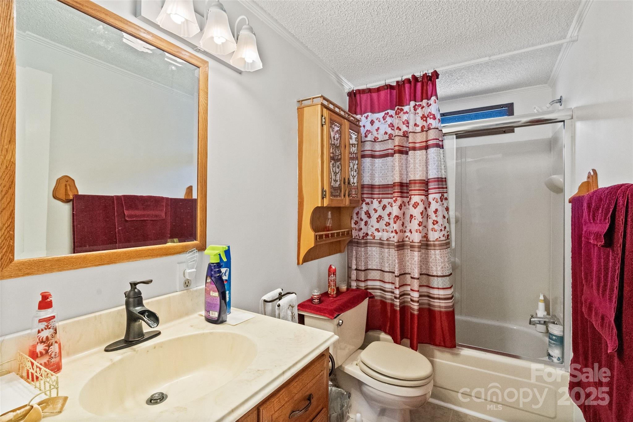 5909 Lake Valley Road Clover, SC 29710 - Photo 34 of 44 a bathroom with a sink vanity mirror and toilet