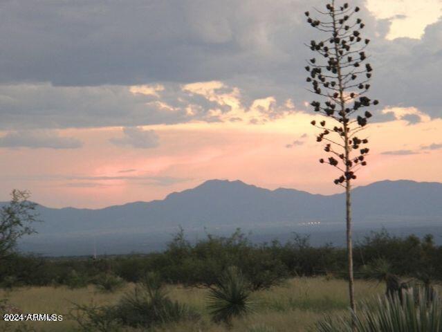 45 East De Vaca Road, Unit 45 St. David, AZ 85630 - Photo 3 of 8 a view of a tree in a field
