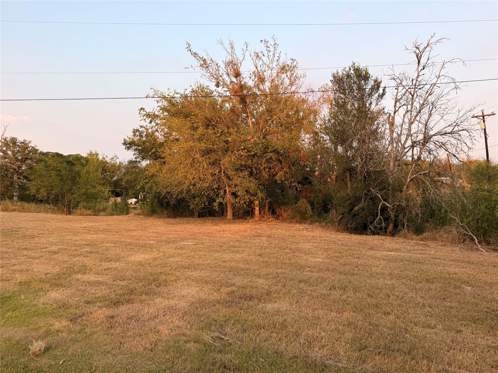 206 Shiloh Road Bastrop, TX 78602 - Photo 8 of 10 Mature trees frame the edge of a level, open grassy field under clear skies.