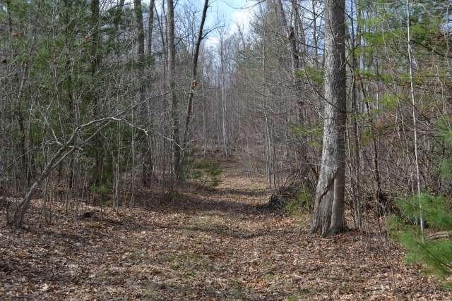 204 Brush Road Lewisburg, WV 24901 - Photo 35 of 60 Gallery Image 35